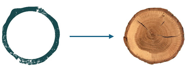 logo explications le bois